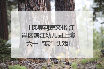 探寻荆楚文化 江岸区滨江幼儿园上演六一“粽”头戏