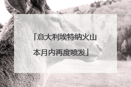 意大利埃特纳火山本月内再度喷发