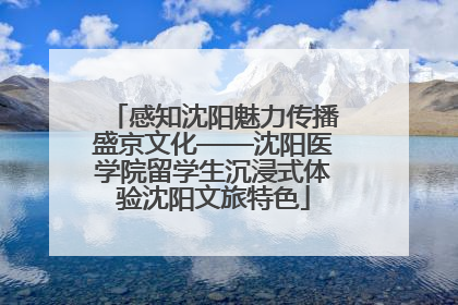 感知沈阳魅力传播盛京文化——沈阳医学院留学生沉浸式体验沈阳文旅特色