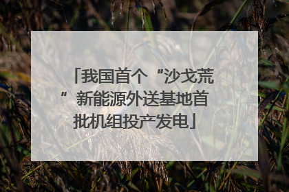 我国首个“沙戈荒”新能源外送基地首批机组投产发电