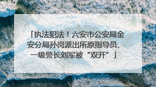 执法犯法！六安市公安局金安分局孙岗派出所原指导员、一级警长刘军被“双开”