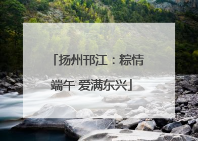 扬州邗江：粽情端午 爱满东兴