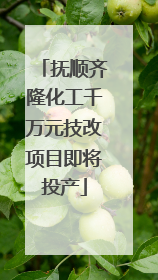 抚顺齐隆化工千万元技改项目即将投产