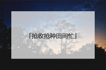 抢收抢种田间忙