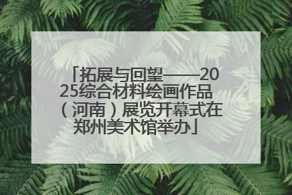 拓展与回望——2025综合材料绘画作品（河南）展览开幕式在郑州美术馆举办
