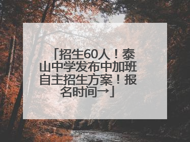 招生60人！泰山中学发布中加班自主招生方案！报名时间→