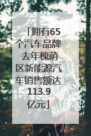 拥有65个汽车品牌 去年槐荫区新能源汽车销售额达113.9亿元