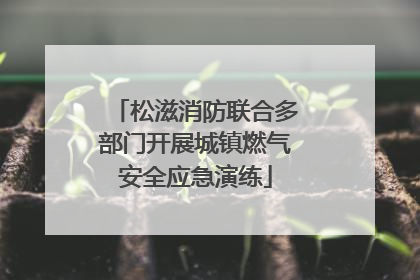 松滋消防联合多部门开展城镇燃气安全应急演练