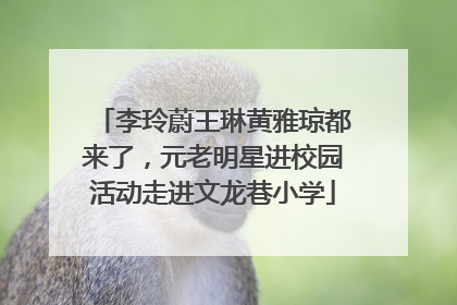 李玲蔚王琳黄雅琼都来了，元老明星进校园活动走进文龙巷小学