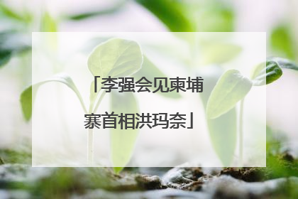李强会见柬埔寨首相洪玛奈