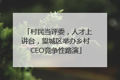 村民当评委，人才上讲台，望城区举办乡村CEO竞争性路演