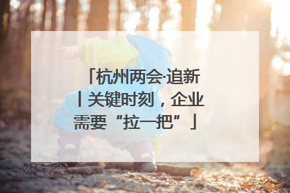 杭州两会·追新丨关键时刻，企业需要“拉一把”