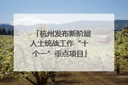 杭州发布新阶层人士统战工作“十个一”重点项目