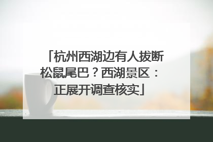 杭州西湖边有人拔断松鼠尾巴？西湖景区：正展开调查核实