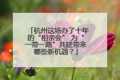 杭州这场办了十年的“相亲会” 为“一带一路”共建带来哪些新机遇？