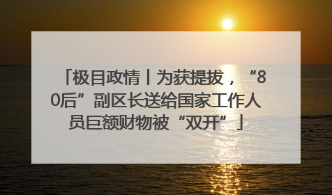 极目政情丨为获提拔，“80后”副区长送给国家工作人员巨额财物被“双开”