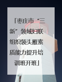 枣庄市“三新”领域妇联组织领头雁素质能力提升培训班开班