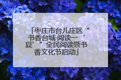 枣庄市台儿庄区“书香台城·阅读一‘夏’”全民阅读暨书香文化节启动