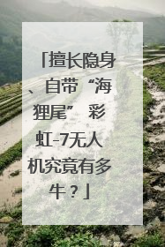 擅长隐身、自带“海狸尾” 彩虹-7无人机究竟有多牛？