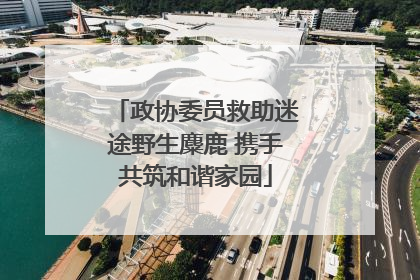 政协委员救助迷途野生麋鹿 携手共筑和谐家园