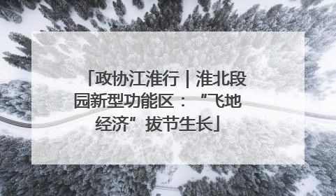 政协江淮行｜淮北段园新型功能区：“飞地经济”拔节生长