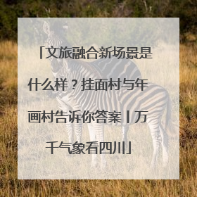 文旅融合新场景是什么样？挂面村与年画村告诉你答案丨万千气象看四川