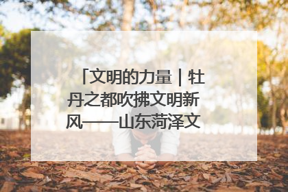 文明的力量｜牡丹之都吹拂文明新风——山东菏泽文明创建一线见闻