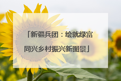 新疆兵团：绘就绿富同兴乡村振兴新图景