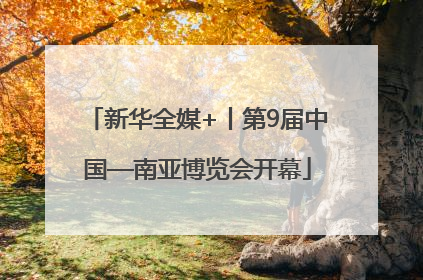 新华全媒+丨第9届中国—南亚博览会开幕
