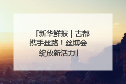 新华鲜报｜古都携手丝路！丝博会绽放新活力