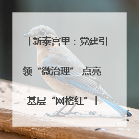新泰宫里：党建引领“微治理” 点亮基层“网格红”