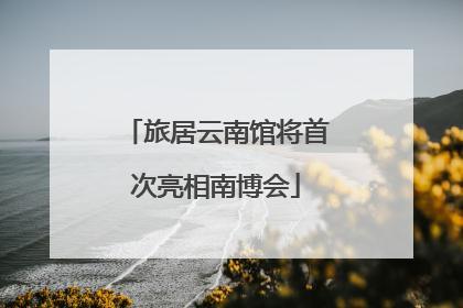 旅居云南馆将首次亮相南博会