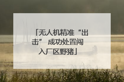 无人机精准“出击” 成功处置闯入厂区野猪