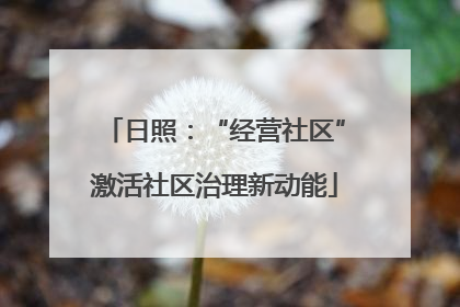 日照：“经营社区”激活社区治理新动能