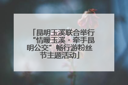 昆明玉溪联合举行“情暖玉溪・牵手昆明公交”畅行游粉丝节主题活动