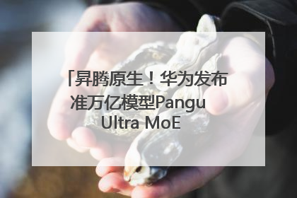 昇腾原生！华为发布准万亿模型Pangu Ultra MoE模型架构和训练细节