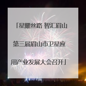 星耀丝路 智汇眉山 第三届眉山市卫星应用产业发展大会召开