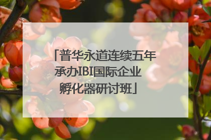 普华永道连续五年承办IBI国际企业孵化器研讨班