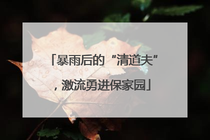 暴雨后的“清道夫”，激流勇进保家园