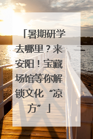 暑期研学去哪里？来安阳！宝藏场馆等你解锁文化“凉方”