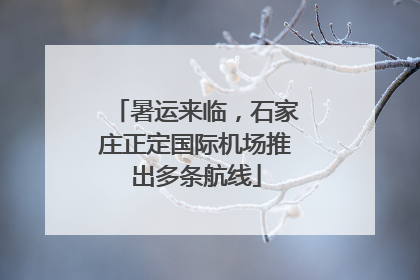 暑运来临，石家庄正定国际机场推出多条航线
