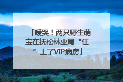 暖哭！两只野生萌宝在抚松林业局“住”上了VIP病房