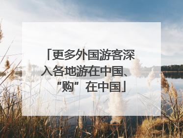更多外国游客深入各地游在中国、“购”在中国
