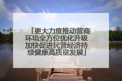 更大力度推动营商环境全方位优化升级加快促进民营经济持续健康高质量发展