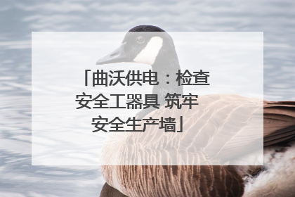 曲沃供电：检查安全工器具 筑牢安全生产墙