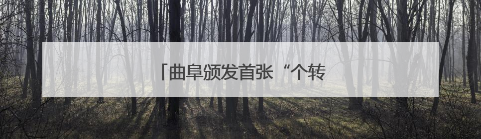 曲阜颁发首张“个转企”一件事营业执照