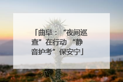 曲阜：“夜间巡查”在行动 “静音护考”保安宁