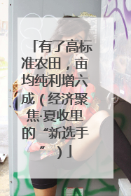 有了高标准农田，亩均纯利增六成（经济聚焦·夏收里的“新选手”）