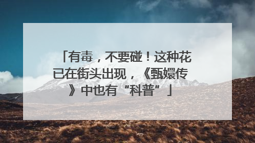有毒，不要碰！这种花已在街头出现，《甄嬛传》中也有“科普”