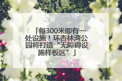 每300米即有一处设施！环杏林湾公园将打造“无障碍设施样板区”